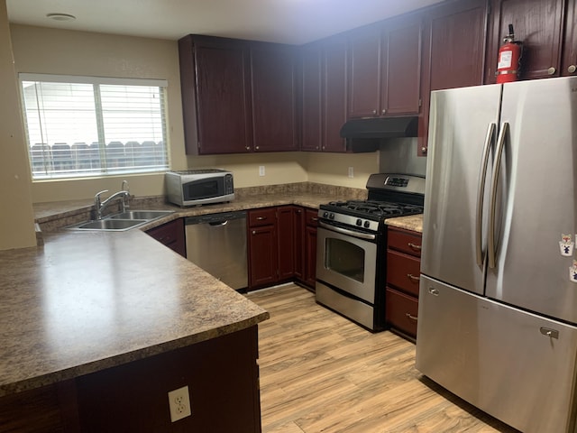 kitchen with sink, light hardwood / wood-style flooring, and appliances with stainless steel finishes