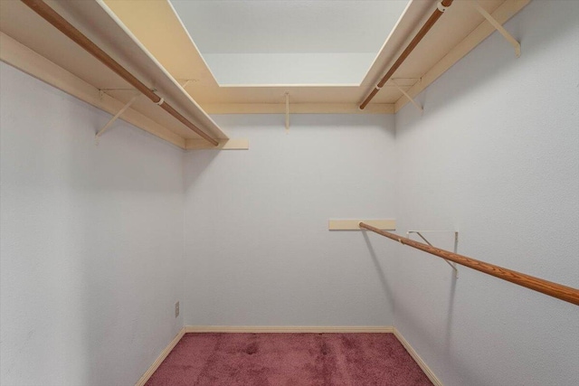 walk in closet featuring carpet flooring