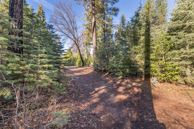 Montgomery Rd, Shingletown, CA 96088
