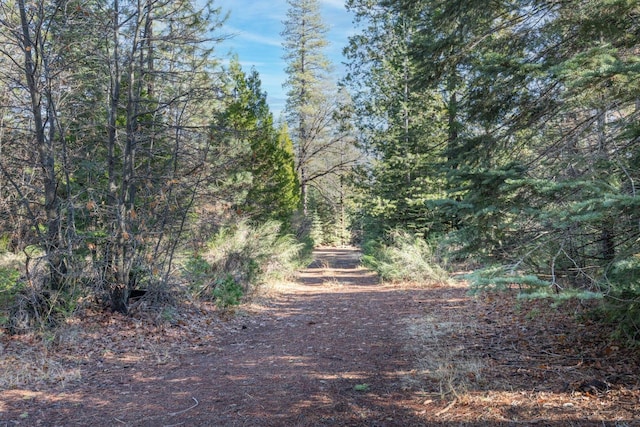 Montgomery Rd, Shingletown, CA 96088