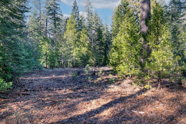 Montgomery Rd, Shingletown, CA 96088