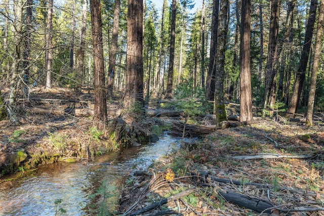 Montgomery Rd, Shingletown, CA 96088