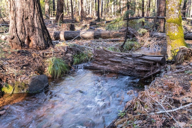 Montgomery Rd, Shingletown, CA 96088