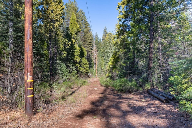 Montgomery Rd, Shingletown, CA 96088