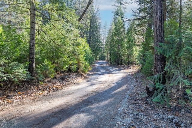 Montgomery Rd, Shingletown, CA 96088