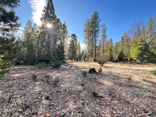 Montgomery Rd, Shingletown, CA 96088