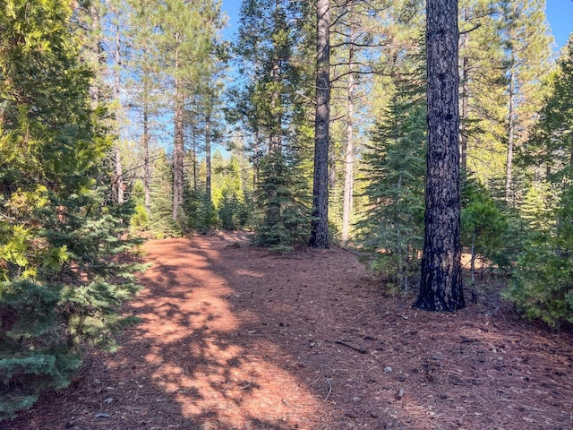 Montgomery Rd, Shingletown, CA 96088