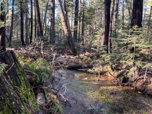 Montgomery Rd, Shingletown, CA 96088
