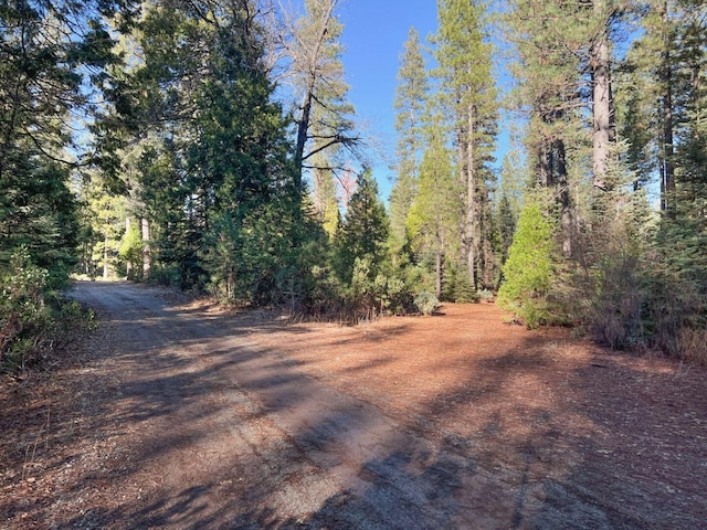 Montgomery Rd, Shingletown, CA 96088