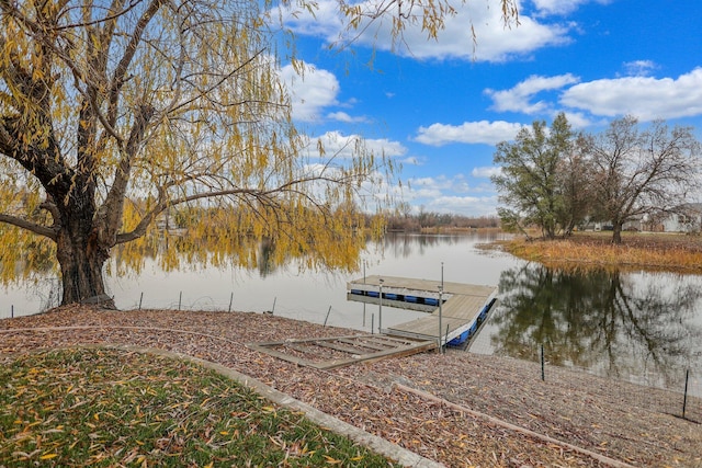 dock area with a water view