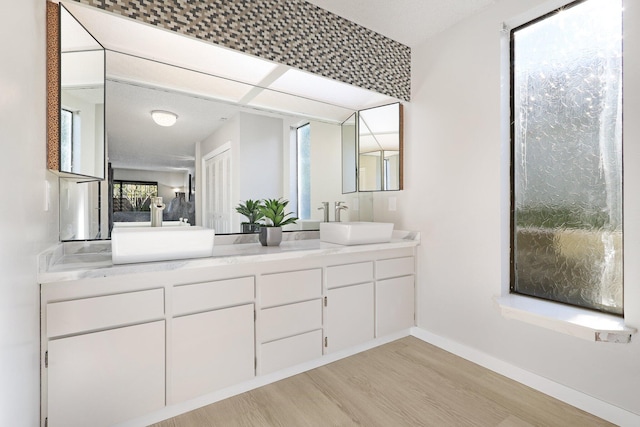 bathroom with hardwood / wood-style floors and vanity