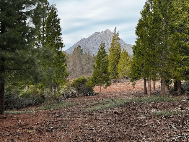 S Mt Shasta Blvd, Mount Shasta CA, 96067 land for sale