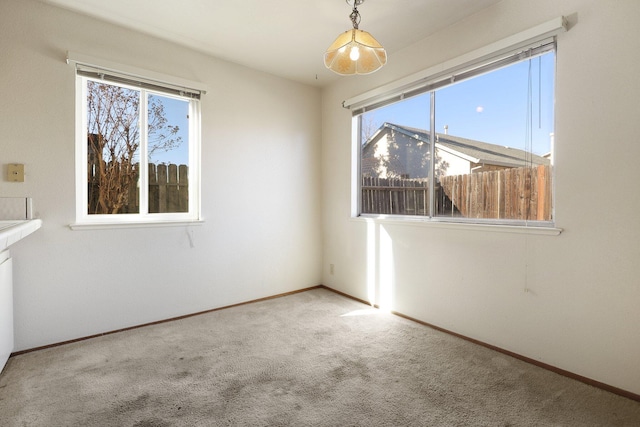 spare room with carpet floors