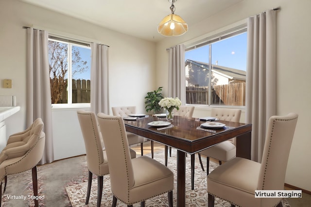 dining space with a wealth of natural light