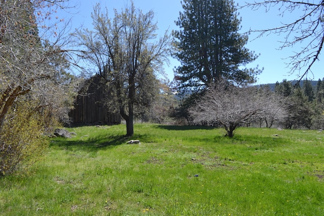 3720 Co Rd 118, Alturas, CA 96101 - photo 41