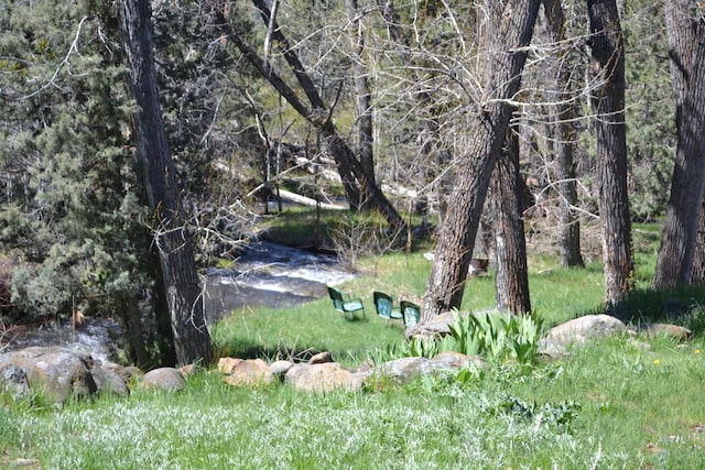 3720 Co Rd 118, Alturas, CA 96101 - photo 44