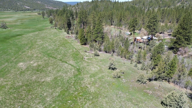 3720 Co Rd 118, Alturas, CA 96101 - photo 48