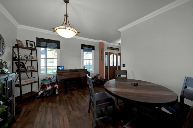 dining room featuring crown molding and dark wood-type flooring