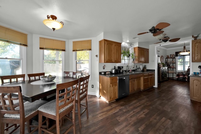 kitchen featuring ceiling fan, sink, dishwasher, dark hardwood / wood-style floors, and plenty of natural light