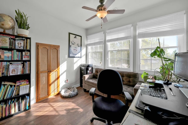 home office with ceiling fan and wood-type flooring