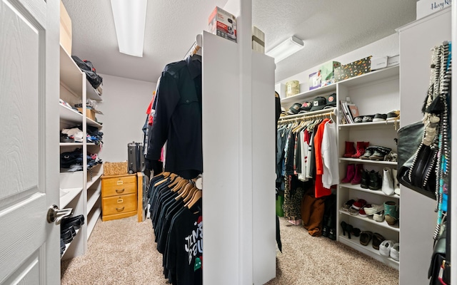 walk in closet with carpet floors