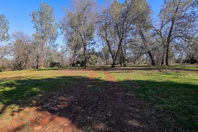 7899 Elmers Way, Shingletown, CA 96088 - view of green lawn