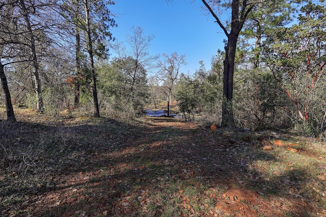 7899 Elmers Way, Shingletown, CA 96088 - view of local wilderness