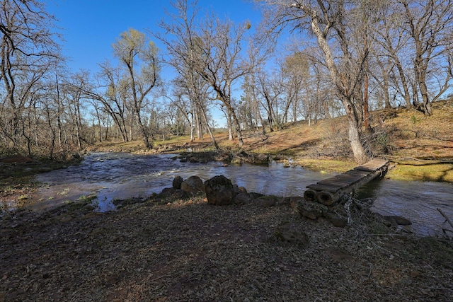 7899 Elmers Way, Shingletown, CA 96088 - view of yard