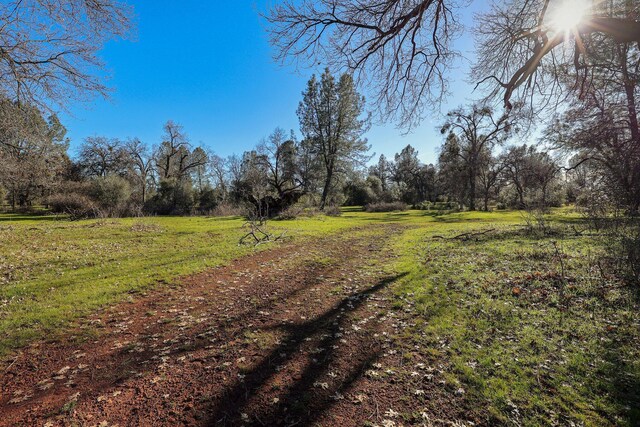 7899 Elmers Way, Shingletown, CA 96088 - view of road