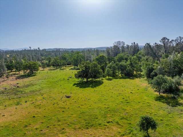 7899 Elmers Way, Shingletown, CA 96088 - view of local wilderness