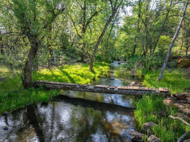 7899 Elmers Way, Shingletown, CA 96088 - water view featuring a heavily wooded area