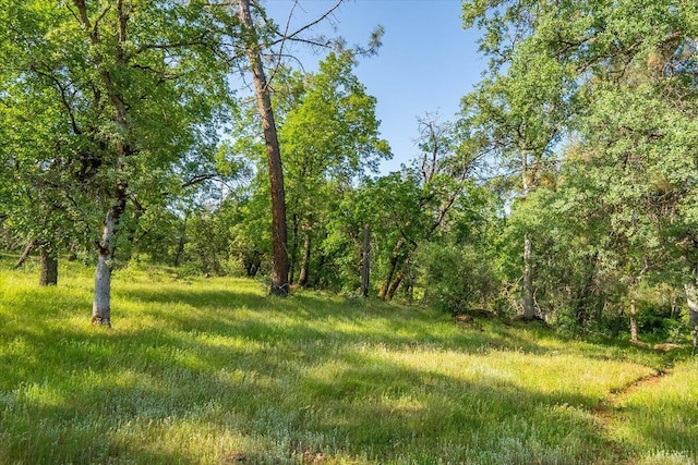 7899 Elmers Way, Shingletown, CA 96088 - view of undeveloped land