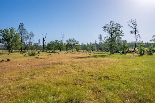7899 Elmers Way, Shingletown, CA 96088 - view of local wilderness with rural landscape