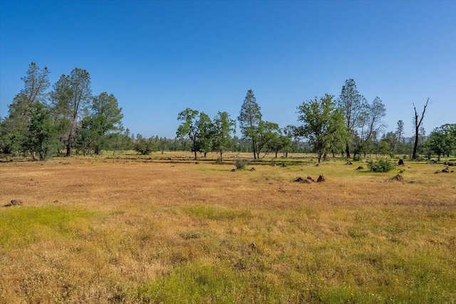 7899 Elmers Way, Shingletown, CA 96088 - view of local wilderness featuring rural landscape