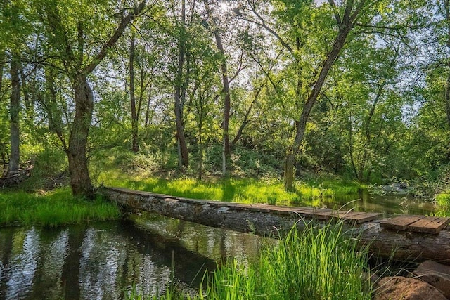 7899 Elmers Way, Shingletown, CA 96088 - view of local wilderness