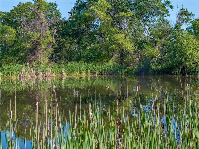 7899 Elmers Way, Shingletown, CA 96088 - water view featuring a forest