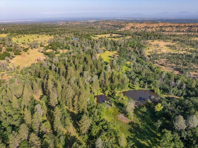 7899 Elmers Way, Shingletown, CA 96088 - aerial view of property and surrounding area featuring a forest