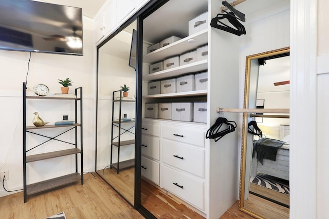 walk in closet with ceiling fan and light wood-type flooring