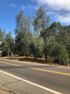 Shasta Dam Blvd, Shasta Lake, CA 96019