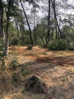 Shasta Dam Blvd, Shasta Lake, CA 96019