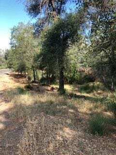 Shasta Dam Blvd, Shasta Lake, CA 96019