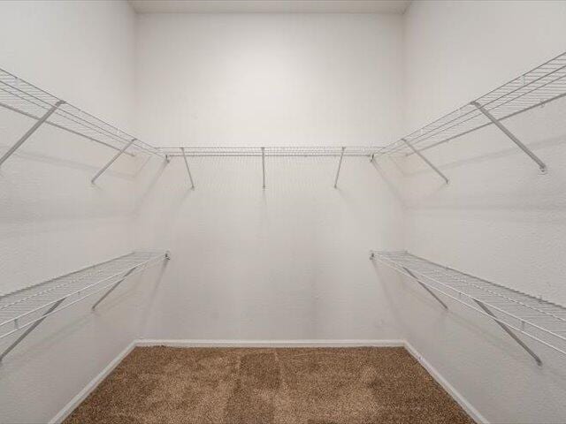 spacious closet with carpet floors