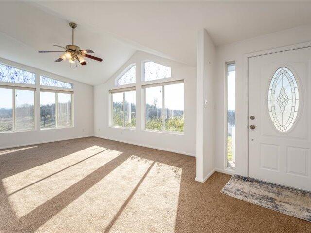 carpeted foyer entrance featuring ceiling fan and lofted ceiling