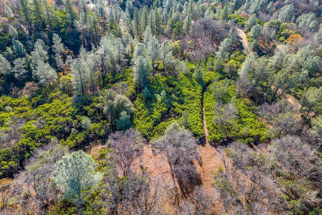 Listing photo 2 for Seaman Gulch Rd, Bella Vista CA 96008