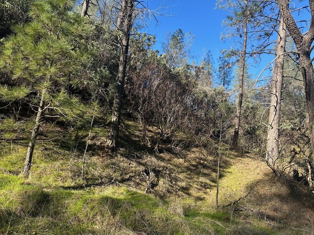 Seaman Gulch Rd, Bella Vista, CA 96008 - photo 1