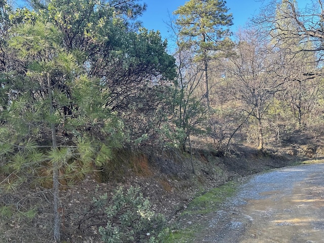 Seaman Gulch Rd, Bella Vista, CA 96008 - photo 4