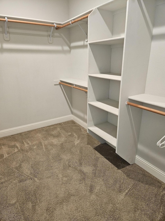 walk in closet featuring dark carpet