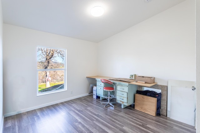 unfurnished office featuring hardwood / wood-style floors