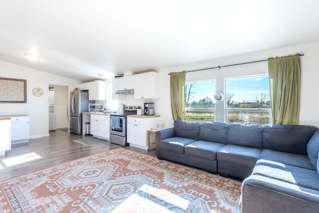 living room with hardwood / wood-style flooring and lofted ceiling