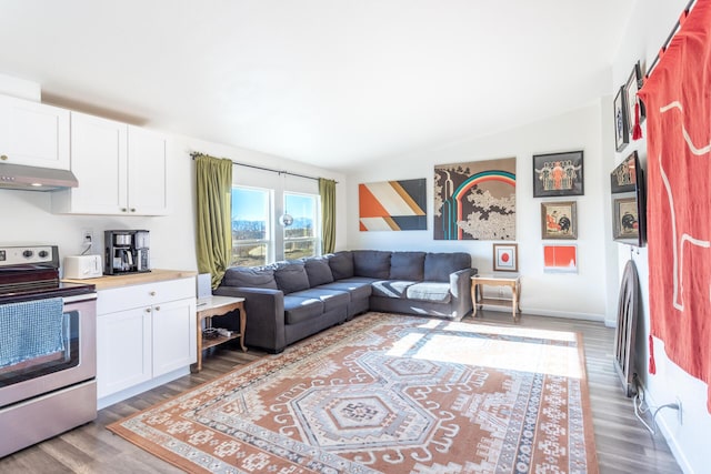 living room with hardwood / wood-style floors and vaulted ceiling